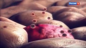 О Самом Главном С Др. Мясниковым 03.10.2023 ч.1