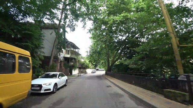 Дорога в Тисо-самшитовую рощу Хоста 2019 смотреть онлайн