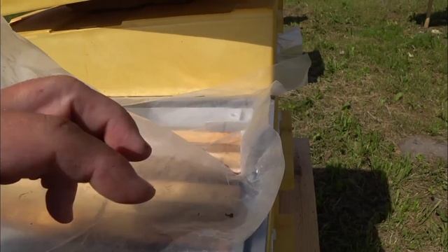 МИНУСЫ УЛЬЕВ БИНЕНХАУС смотреть онлайн