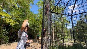 Влад ВЕСЬ НА НЕРВАХ! Мы первый раз оставили Степу и Маню ОДНИХ в ВОЛЬЕРЕ!