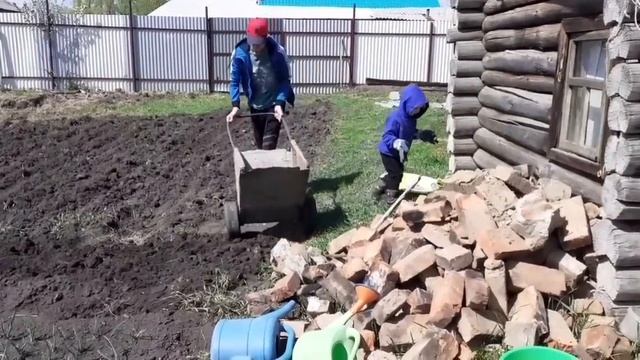 НАШЕ УТРО ? В ОГОРОДЕ/ДАНЯ НАЖАРИЛ? смотреть онлайн