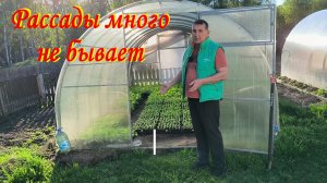 Закаляем РАССАДУ ТАБАКА. ЦВЕТЫ зацвели в ПАРНИКЕ. В доме воцаряется порядок. Наша жизнь в деревне