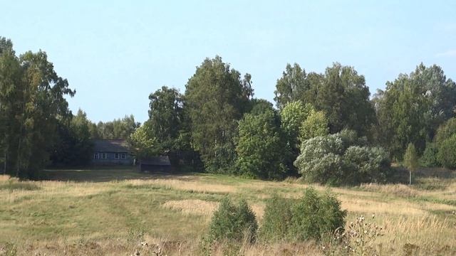 Шум берёз. Муслим Магомаев (Муз. К. Орбеляна- стихи В.Лазарева) смотреть онлайн