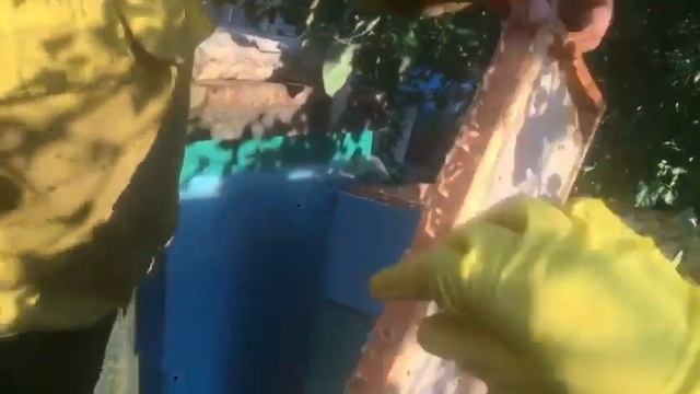 Место СИЛЫ. МИСТИКА или РЕАЛЬНОСТЬ? Дадан 4-5 корпусов с ОДНОЙ маткой. смотреть онлайн