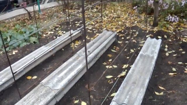 Каркасы из шифера под виноград смотреть онлайн