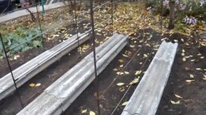 Каркасы из шифера под виноград