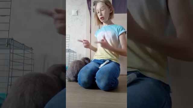 Интересные факты о декоративных кроликах! В зоомагазине не расскажут! Кролик Ричард!
