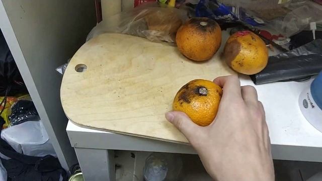ДЕГУСТАЦИЯ ЕДЫ ИЗ ПОМОЙКИ!Отличная фрига)