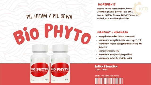 PRODUK KNOWLEDGE : BIO PHYTO 1 смотреть онлайн