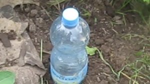 Поливочная труба для винограда