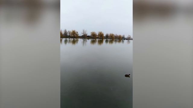 Кабардино-Балкария . Чегемские водопады зимой. Замок Шато Эркен