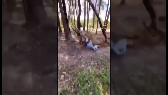 бобры отдыхают #анекдоты #мем #приколы #бобры ##лес #дерево #улабуга смотреть онлайн