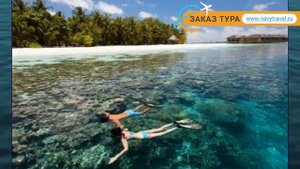 VILAMENDHOO ISLAND RESORT 4* Мальдивы обзор – отель ВИЛАМЕНДХУ ИСЛАНД РЕЗОРТ 4* Мальдивы видео обзо