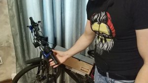 сколько стоит электровелосипед