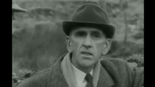 "Тайное братство Морганитов из Шрампшира" смотреть онлайн