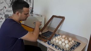 Подготовка и закладка инкубационного яйца в инкубатор Блиц Норма Луппер С8
