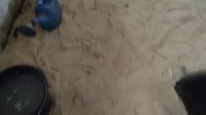 Экономная подстилка которая работает//Заселяем бактерии в птичник.