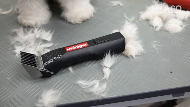 Saphir Basic Heiniger смотреть онлайн