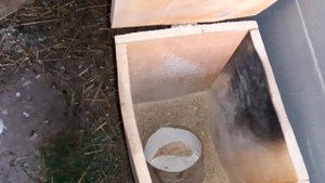 Утка мандаринка. Почему не несет яйца?