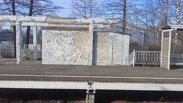 ЭД4М Сестрорецк-Санкт-Петербург смотреть онлайн