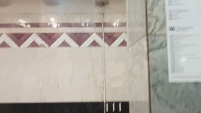 Обзор станция московского метро Тушинская.