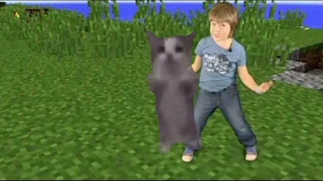 Шнапи шнапи шнапи мем с котом