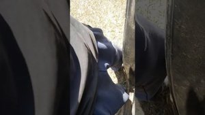 2 Двинашки АПАКАЛИПСИС DB-SA272(D1) + моноблок мачета 1500.1D