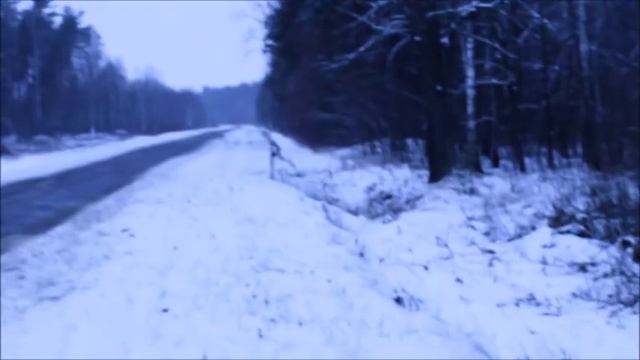 Охота на волка. смотреть онлайн