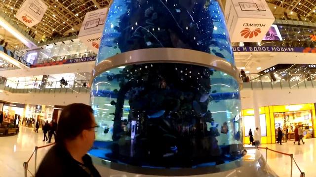 Как переехать жить в Москву и найти работу
