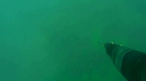 Подводная охота на Черном море. Абхазия.