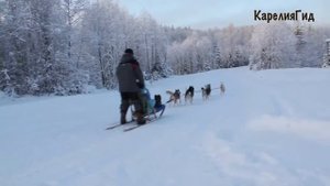 Туры в Карелию зимой. Отдых в Карелии на Новый год.