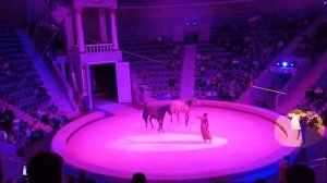 курск. Цирк Девочка и Слон. 1 действие