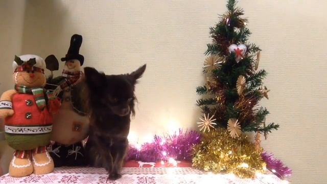 Хочу удалить канал??Отгадываю ваши истории по эмоджи? смотреть онлайн