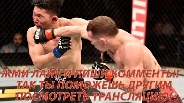 СМОТРЕТЬ БОЙ UFC ПЕТР ЯН - ДЖОН ДОДСОН смотреть онлайн
