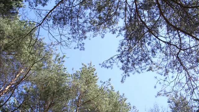 Город Сафоново (песня) смотреть онлайн