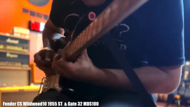 Fender wildwood 10 55ST & Gate 32 ODS Style Amp смотреть онлайн