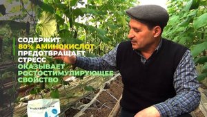 НАТУРАМИН - МОЙ ЛЮБИМЫЙ УНИВЕРСАЛЬНЫЙ СТИМУЛЯТОР. Ускоритель роста и мощнейший антистресс.