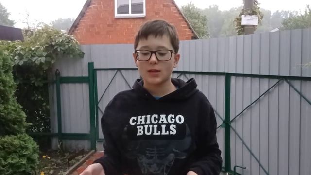 Выходные в саду! Жарим шашлыки и собираем грибы.*Осень* смотреть онлайн