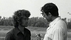 1977 год. Нижнетавдинский район. Система полива совхозе Черепановский