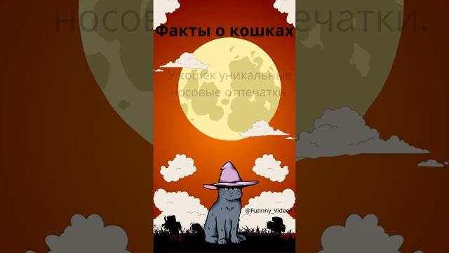 Факт о кошках №7 ❤️? Подробнее в описании #животные#факты#интересно#новое#reels#animals#facts#кошки