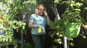 КОМАРЫ!! Обработка участка. Дачные сезоны с Мариной Рыкалиной