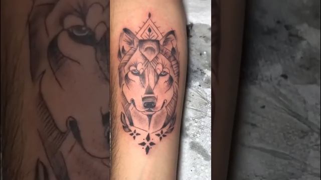 Forearm tattoo (husky)