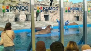 Ижевский ЗООПАРК. Государственный зоологический парк Удмуртии.