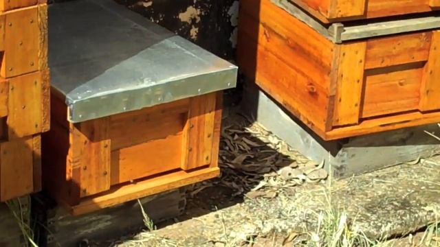 langstroth beekeeper смотреть онлайн