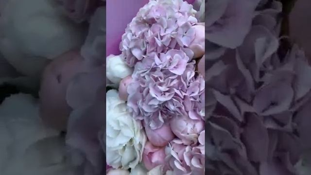 КУПИТЬ ПИОНЫ ДНЕПР. ЗАКАЗАТЬ ГОРТЕНЗИИ ДНЕПР. ДОСТАВКА БУКЕТОВ