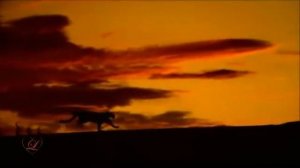 Sen Gelmez Oldun   Alihan Samedov