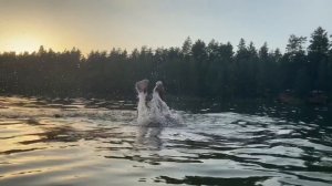 Лето 2021 на  даче