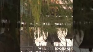 Душеполезные поучения оптинских старцев.Оптинский цветник.