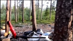 Как защититься от медведя? Случай на привале. Способ защиты от медведя