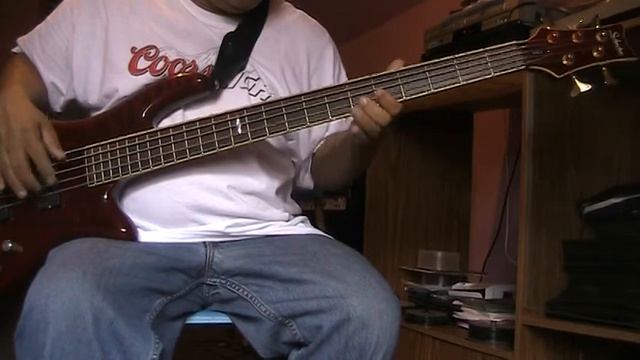 Bachata Amores Extranos( Bass Cover) смотреть онлайн